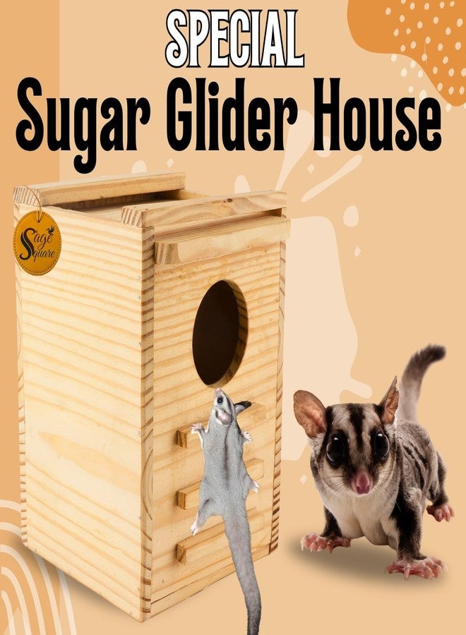 Sage Square Sugar Glider Wooden Hide House - Handcrafted Natural Wood Habitat for Small Pets, Safe, Cozy, Durable, Sugar Gliders, Hamsters, Eco-Friendly, Easy Clean, Enhance Pet’s Comfort & Security - Image 2